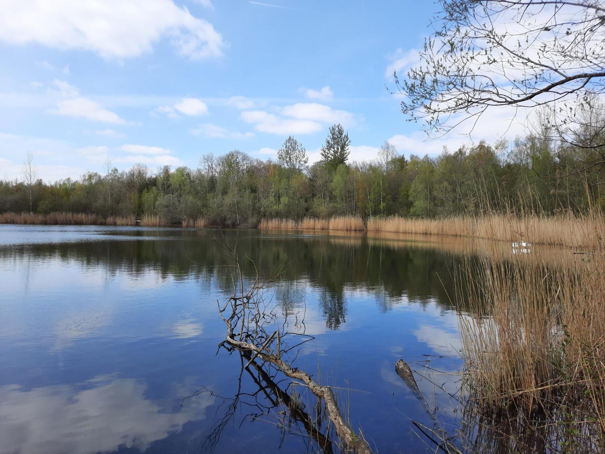 Ferienhaus Am See Goch Kessel Δωμάτιο φωτογραφία