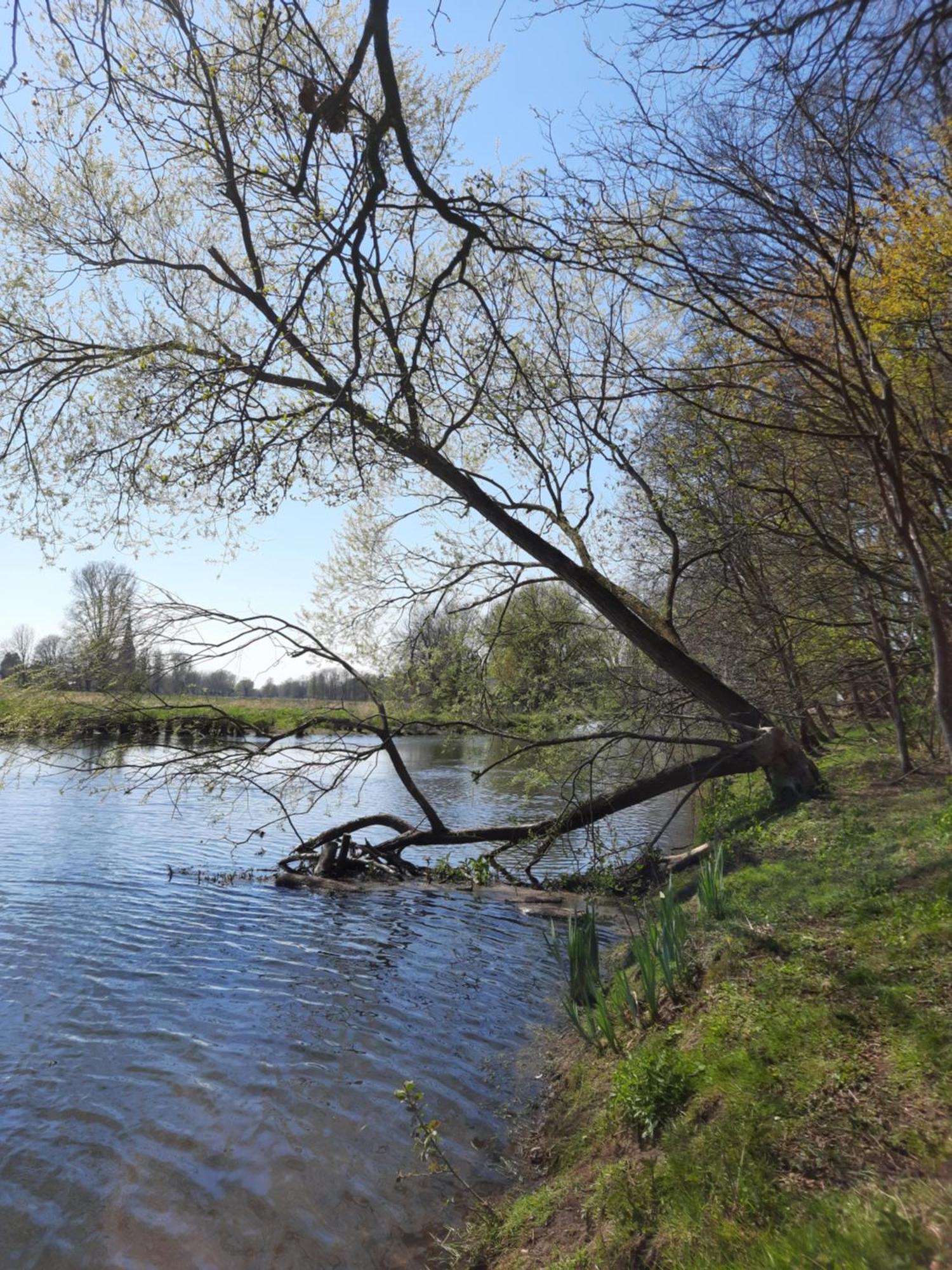 Ferienhaus Am See Goch Kessel Δωμάτιο φωτογραφία